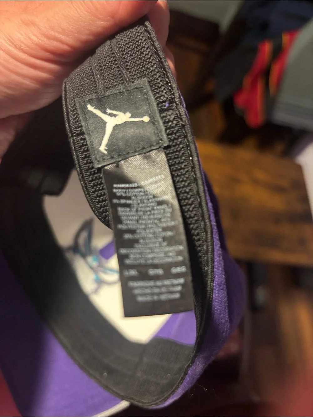 Jordan Charlotte Hornets Panel Cap in Purple, Cream & Gray